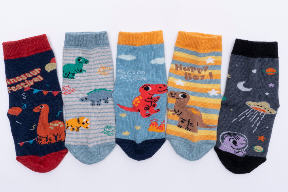Boy Socks 5 Set (3~10Y) / 쥬라기 양말 5종세트 (3~10세)