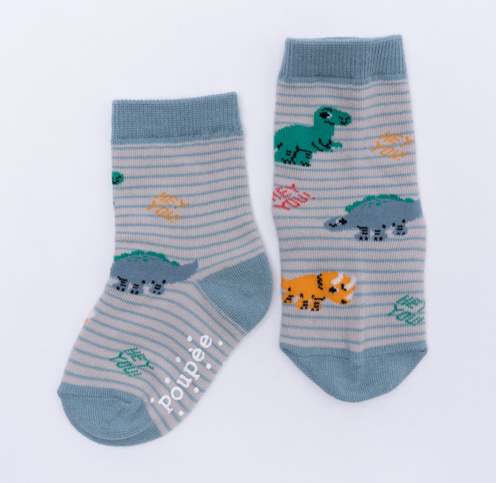 Boy Socks 5 Set (3~10Y) / 쥬라기 양말 5종세트 (3~10세)