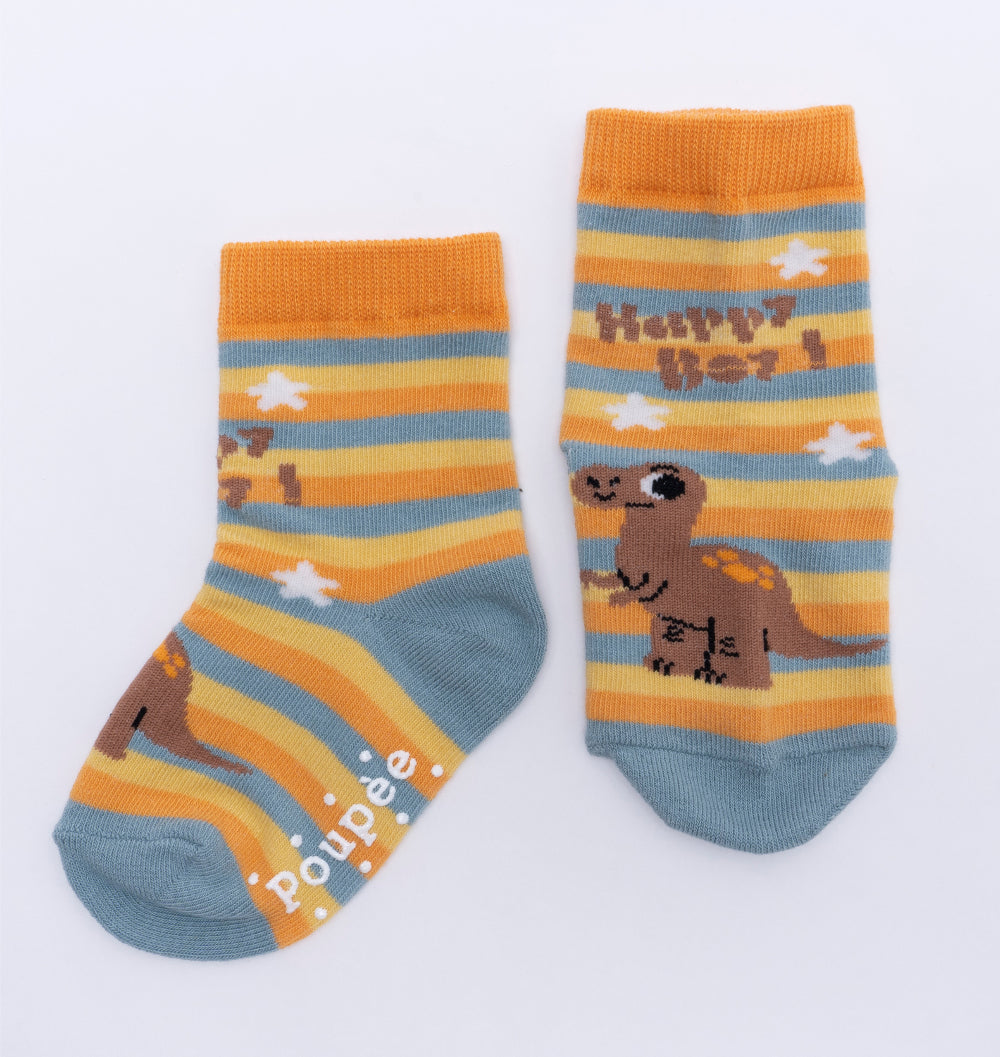 Boy Socks 5 Set (3~10Y) / 쥬라기 양말 5종세트 (3~10세)